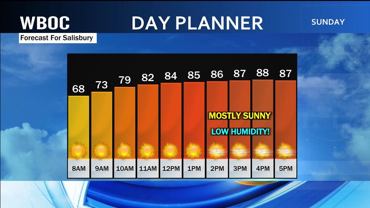 😎GOOD MORNING DELMARVA!

After a cool start, it's going to be a bit warmer than yesterday, but with low humidity, it'll feel fine!

I have your forecast for the week ahead, as well as a busy Tropical Outlook coming up on WBOC News at 8 a.m.

See you then!