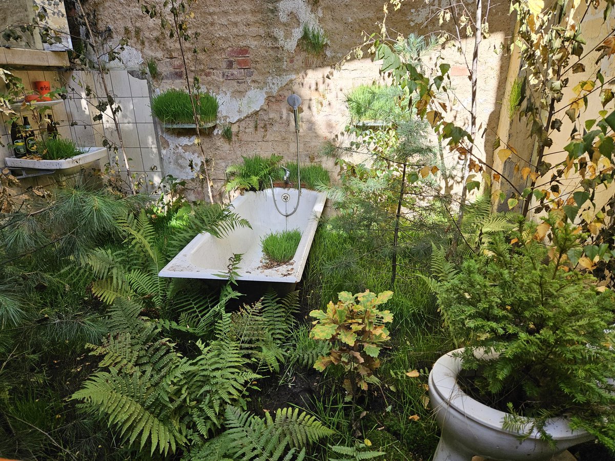 SmarterThanMyPhone tweet media