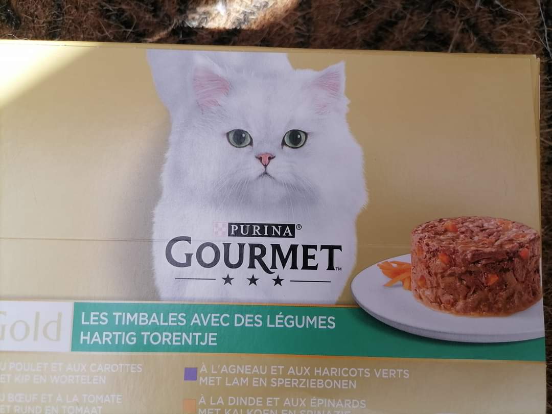 ChatQuiberon's tweet photo. 🚨 DONS NOURRITURE HUMIDE 🚨
Notre stock est quasi vide. 60 gamelles sont données quotidiennement.
Voici ce dont  nos protégés ont l'habitude mais toute gelée, mousse ou terrine sera parfait.
Par envoi :
École du chat de Quiberon
6 rue Er Govelinn
56170 Quiberon
MERCI 1000x ! 😻 https://t.co/NnrVYRsWGM