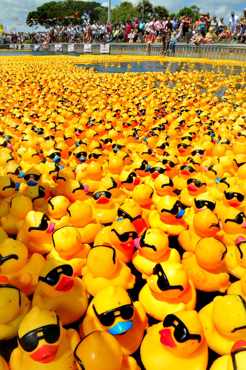 Our annual Duck Race goes ahead today. Meet down Blackpill (on the beach) at around 1:30pm. 

With music, a BBQ, can bar and lots more it’ll be a great day for the family. 

🐤🐤🐤🐣🐣🐣

#uppabryn