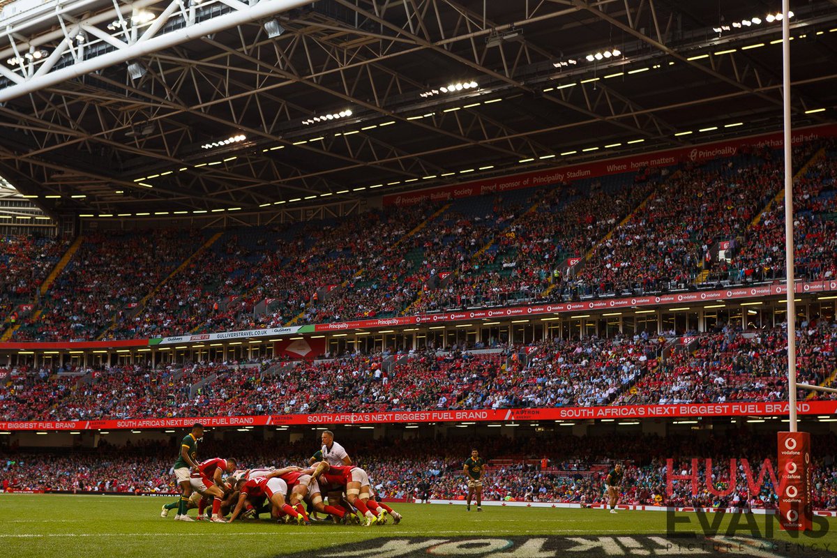 GruffyddThomas's tweet photo. A young Wales side go down 16-52 to the Springboks in Cardiff in a World Cup warm-up match.

Pictures: Gruffydd Thomas/@HuwEvansAgency https://t.co/ynXUQoQkIr