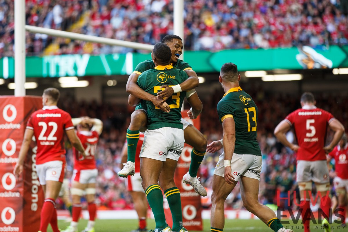 GruffyddThomas's tweet photo. A young Wales side go down 16-52 to the Springboks in Cardiff in a World Cup warm-up match.

Pictures: Gruffydd Thomas/@HuwEvansAgency https://t.co/ynXUQoQkIr