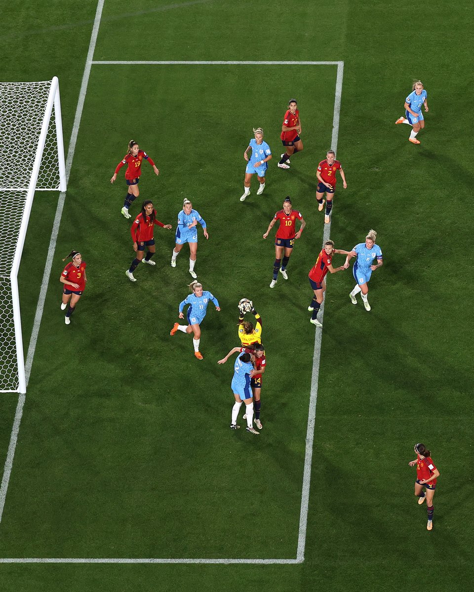 Lionesses tweet media