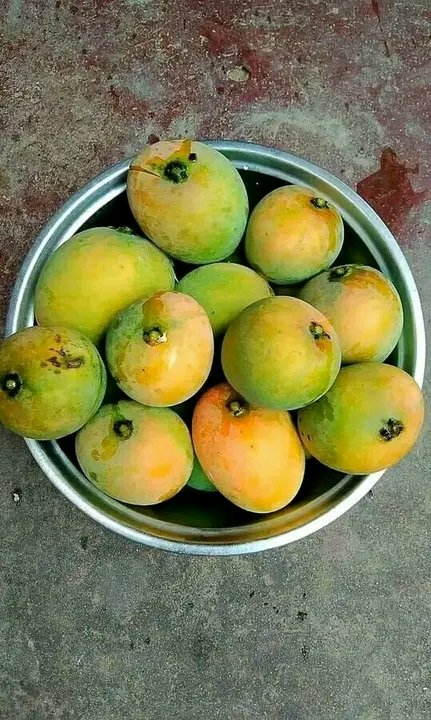 arclasy's tweet photo. Ahh finally woke up this morning to these 😀😋😂😂😂 https://t.co/Zly0DsZhiv