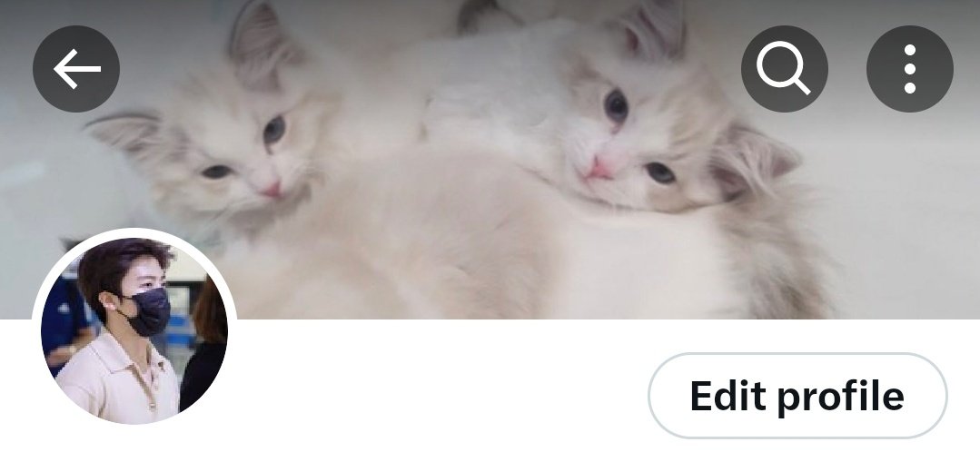 NJMENCT's tweet image. New layout ft. my babies. 😼😻