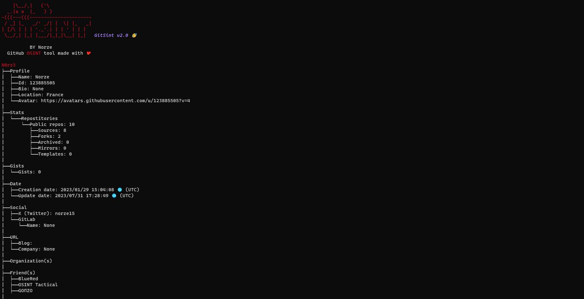 vizion holizëm tweet media