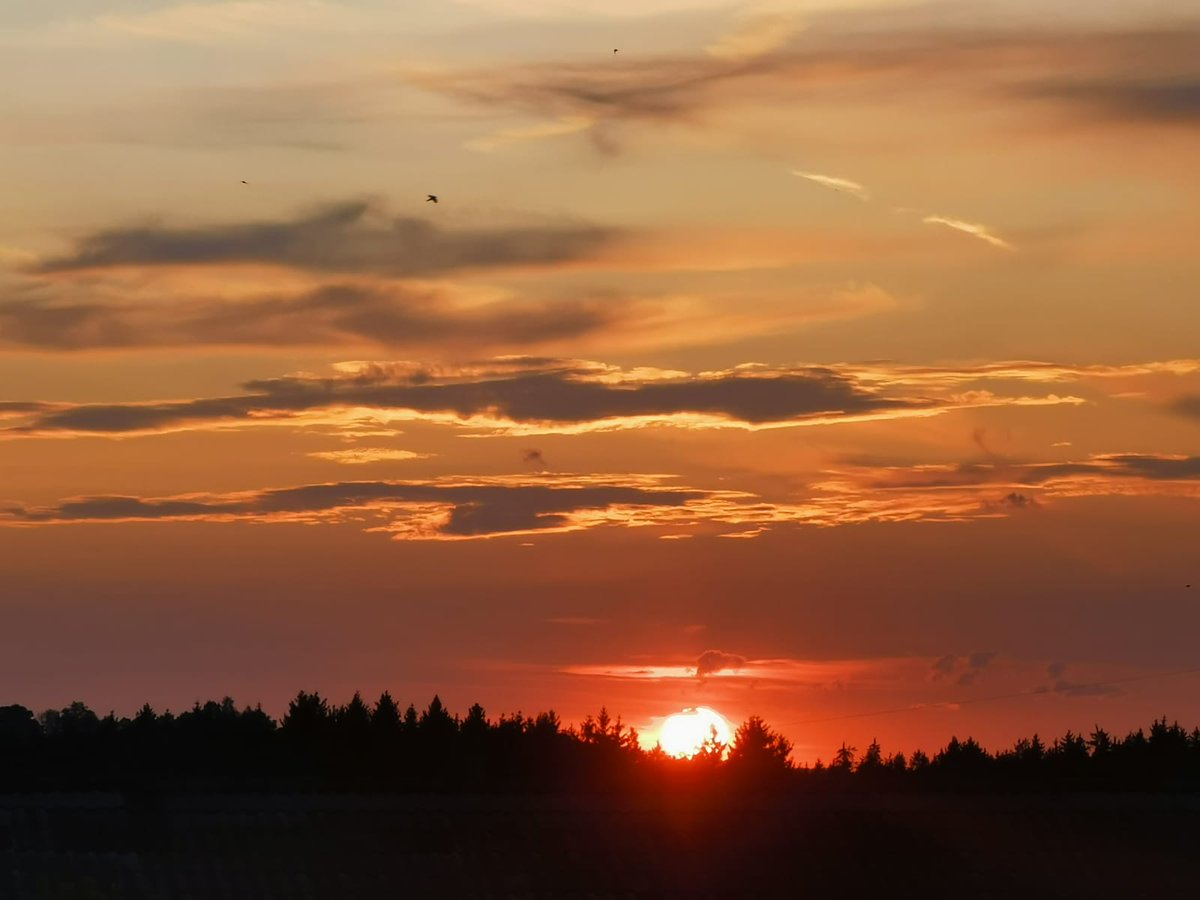wswmaerie's tweet photo. #GUTGESAGT collect moments not things - sammle Momente, nicht Dinge. #NaturePhotography #sunset #chiemsee (Bild von @Fridyo) Wegwerfgesellschaft!!! https://t.co/EfjPc4VqN0