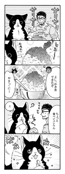 でっかいねこまたと脱サラとーちゃんが見つけた、
夏のおたのしみ🐱🌞(2/2) 