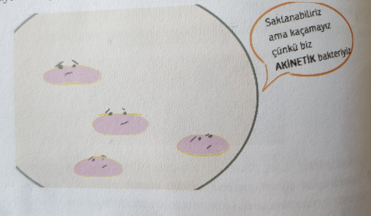 drkahveyaprak's tweet photo. Bana mikrobu sevdiren #tustime hocasından razıyım. https://t.co/1Qahqd9EjX