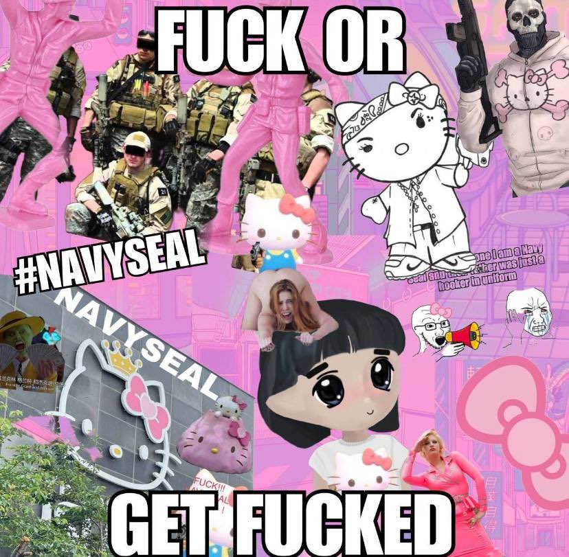 Serpounce____'s tweet photo. @sachsjunior @modestfrfr Imagine being focused on all the bitcoin derivatives when there is actually a decade old 4chan meme being revived in front of our eyes that wil start the copy paste meta 

Couldn’t be me https://t.co/SejB8ld79P