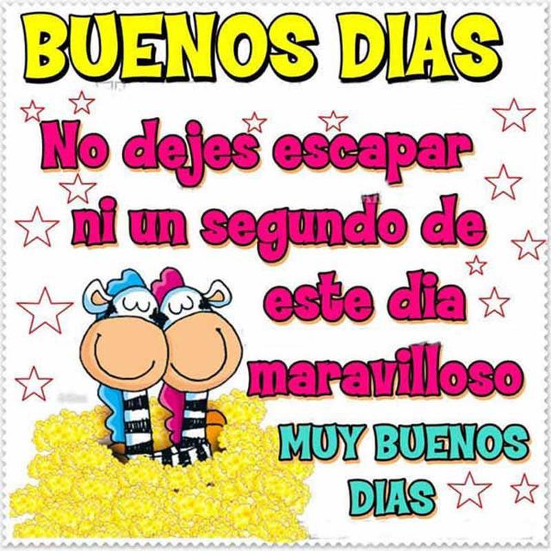 RebecaMC19's tweet photo. Feliz Domingo https://t.co/igAuqoN388