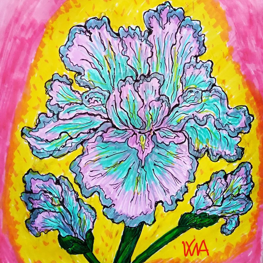 VikiArt37's tweet photo. my last drawing

#ірис #art #artwork #botanicalart #irisflower #textmarker #flower #drawing #painting #sketch #sketchbook #mysketchbook #botanicalillustration https://t.co/lj1tDror6u