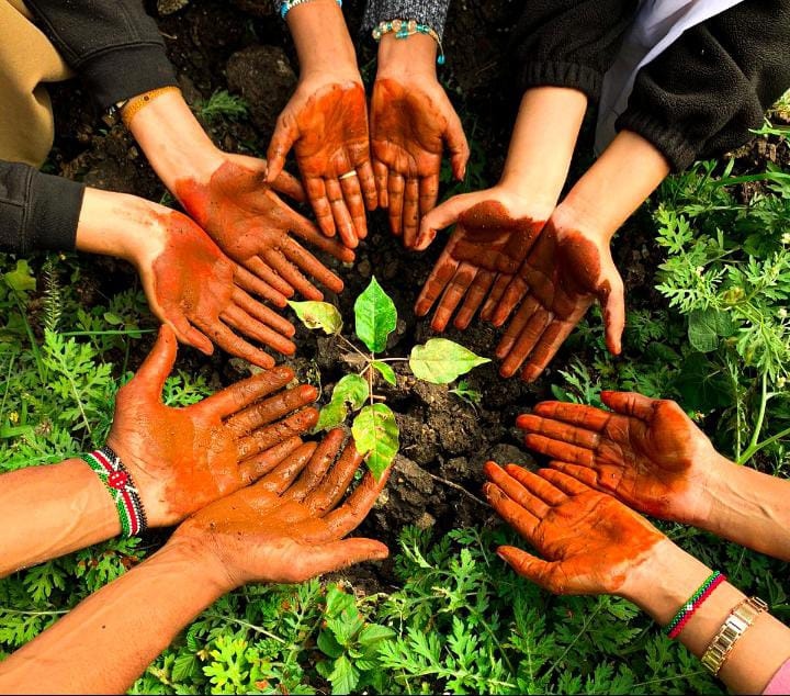 The time to act is now! Let's roll up our sleeves and plant trees to combat climate change and ensure a healthier environment for all species. 🌼🌱 #OneKenyanOneTree #Greenspace #BeGreen #GO4SDGS #SustainableDevelopment #AfricanClimateSummit #ForPeopleForPlanet #Jazamiti #IPCC