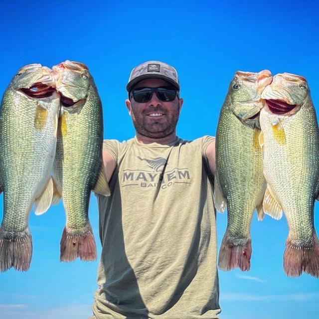 Liquid Mayhem tweet media