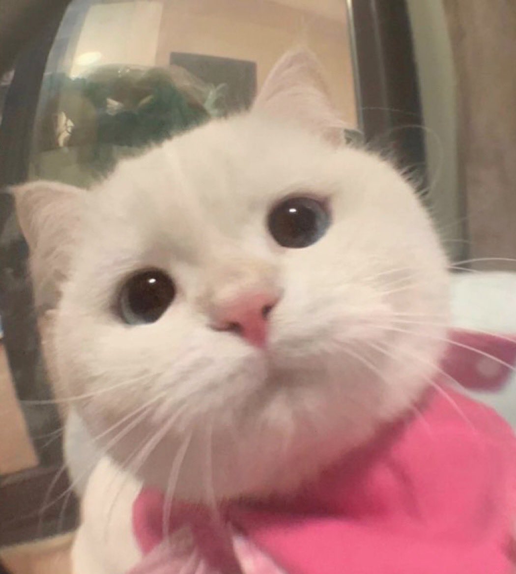 ที่บ้านมีเยลลี่ไหมจ๊ะ✌🏻♡