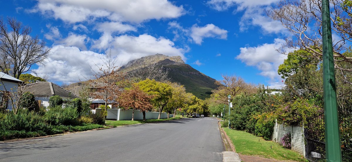 ViegasMariana's tweet image. Beautiful morning walk before #VEME2023, which is starting tomorrow! #Stellenbosch #VirusEvolution #SouthAfrica