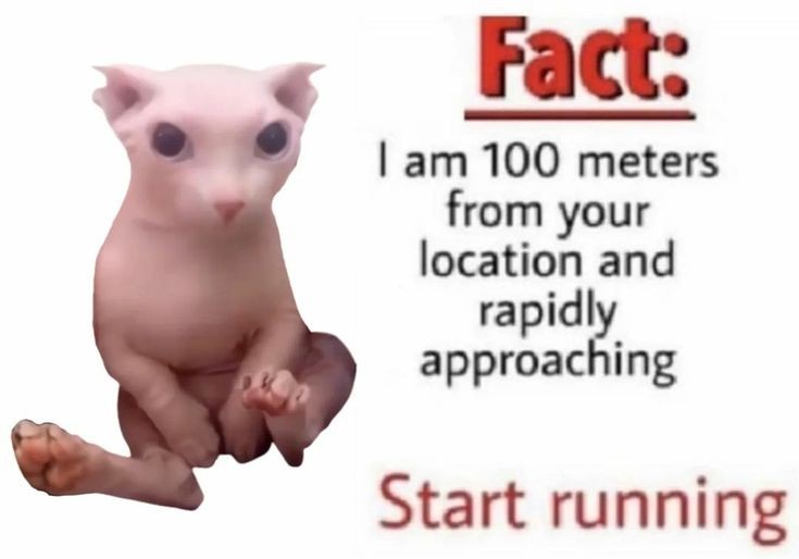 Entestines's tweet image. 