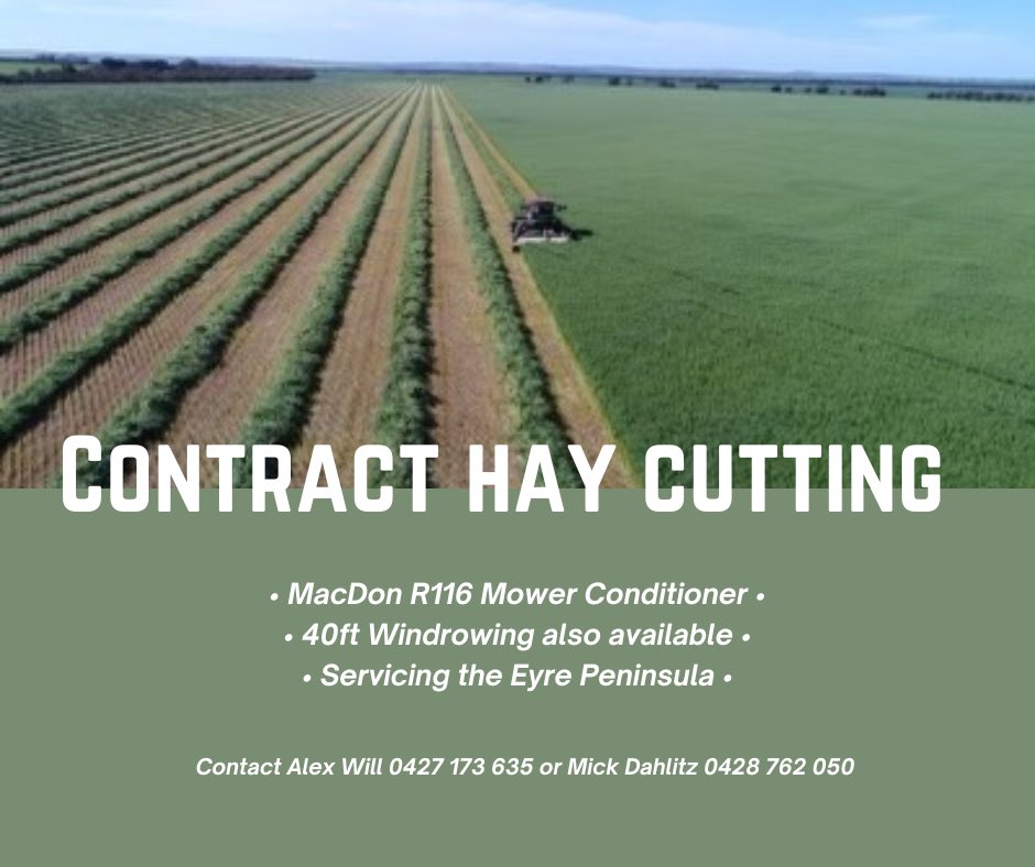 AlexWil43147233's tweet photo. It’s that time of the year again, give me a call 👍🏻 https://t.co/ZCX2zy5ByK