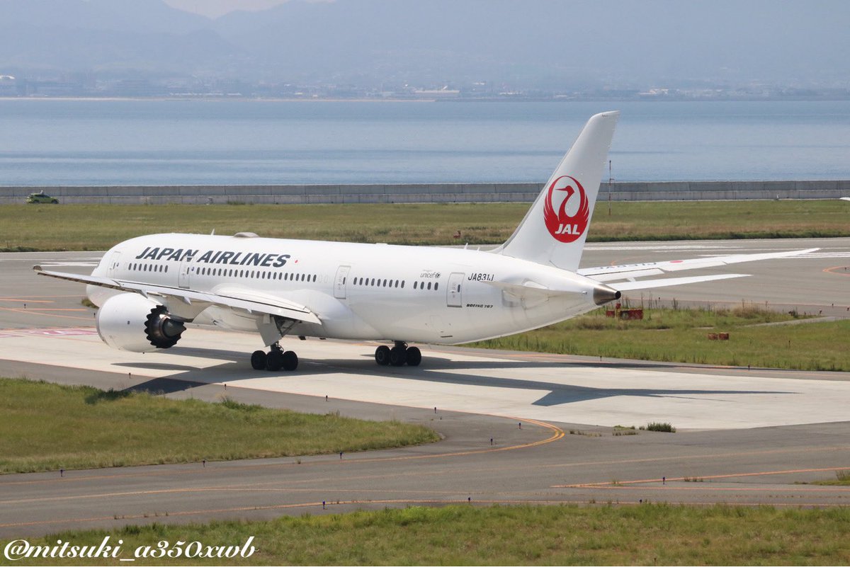 mitsuki_a350xwb's tweet photo. JAPAN AIRLINES
B787-8 JA831J
2023.08.20 KIX
上海浦東に向かうJL891
レジとして初撮影と思っていたら
2018年に関空と伊丹でそれぞれ撮影していた
5年ぶりの撮影に
#JAL_Official_jp
#kansai_airports
#skyview_KIX https://t.co/bS0VsSIw1D