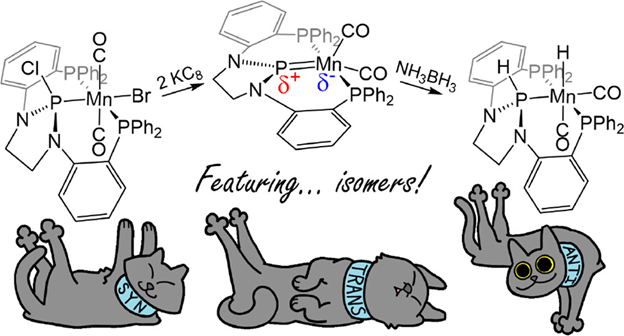 InorgChem's tweet photo. Meow! #TOCoftheWeek alert! Oliemuller et al synthesize a manganese complex with three-coordinate N-heterocyclic phosphorus fragment; the electrophilic nature of the phosphenium and the nucleophilic Mn center are examined. Please have a look: https://t.co/jYy2qHD5BQ @CThomas_group https://t.co/bGTlrx3DP2