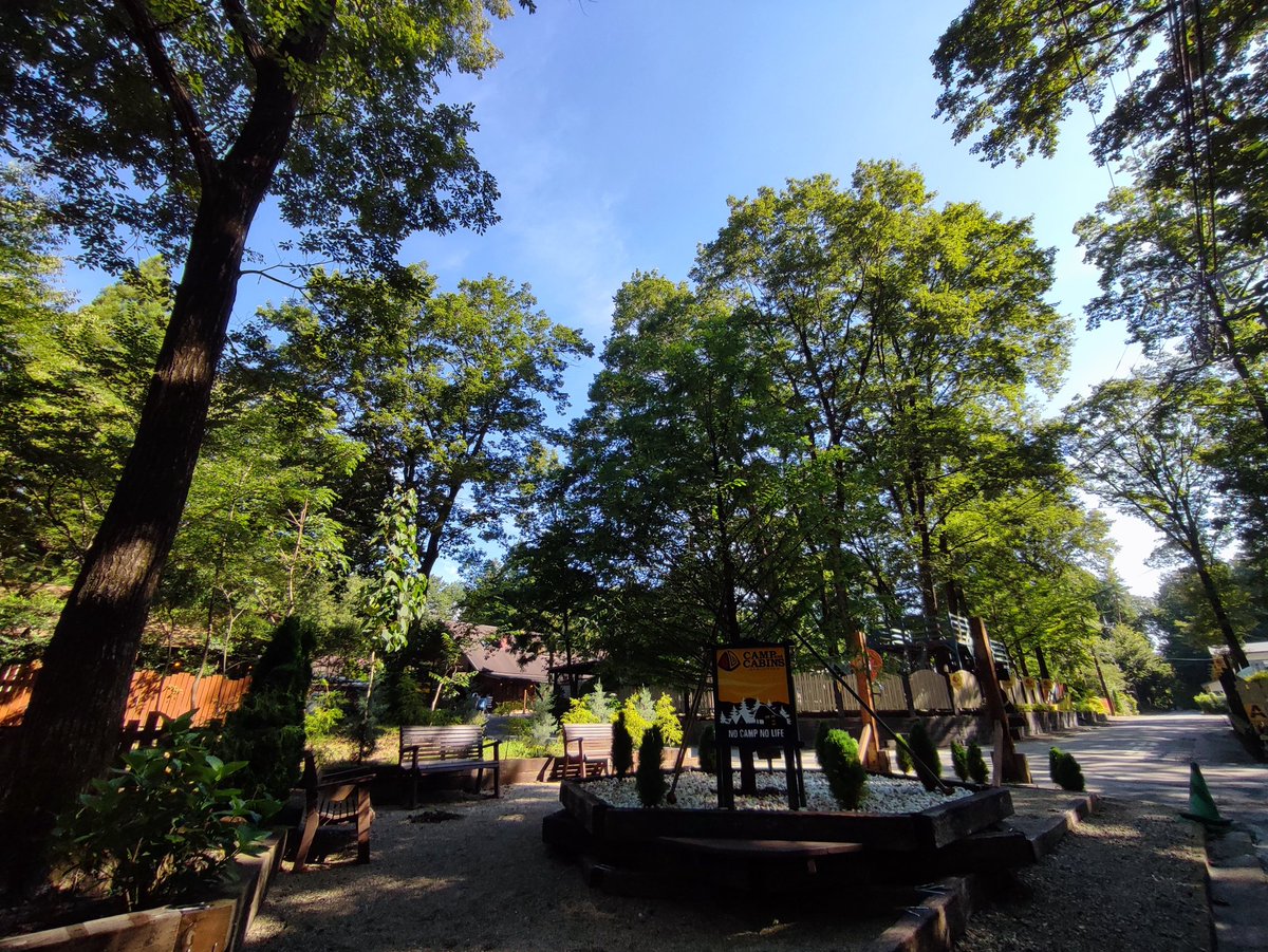 Camp_Cabins's tweet photo. 今年はキャンプ場の正面ゲート横には
今後シンボルツリー🌲になるようにと、メタセコイアを植樹しました。
ベンチを何台かおいてますので、チェックイン待ちの時間やお散歩などでのんびりしたい時に是非ご活用ください☺ https://t.co/0iv8MJWzze