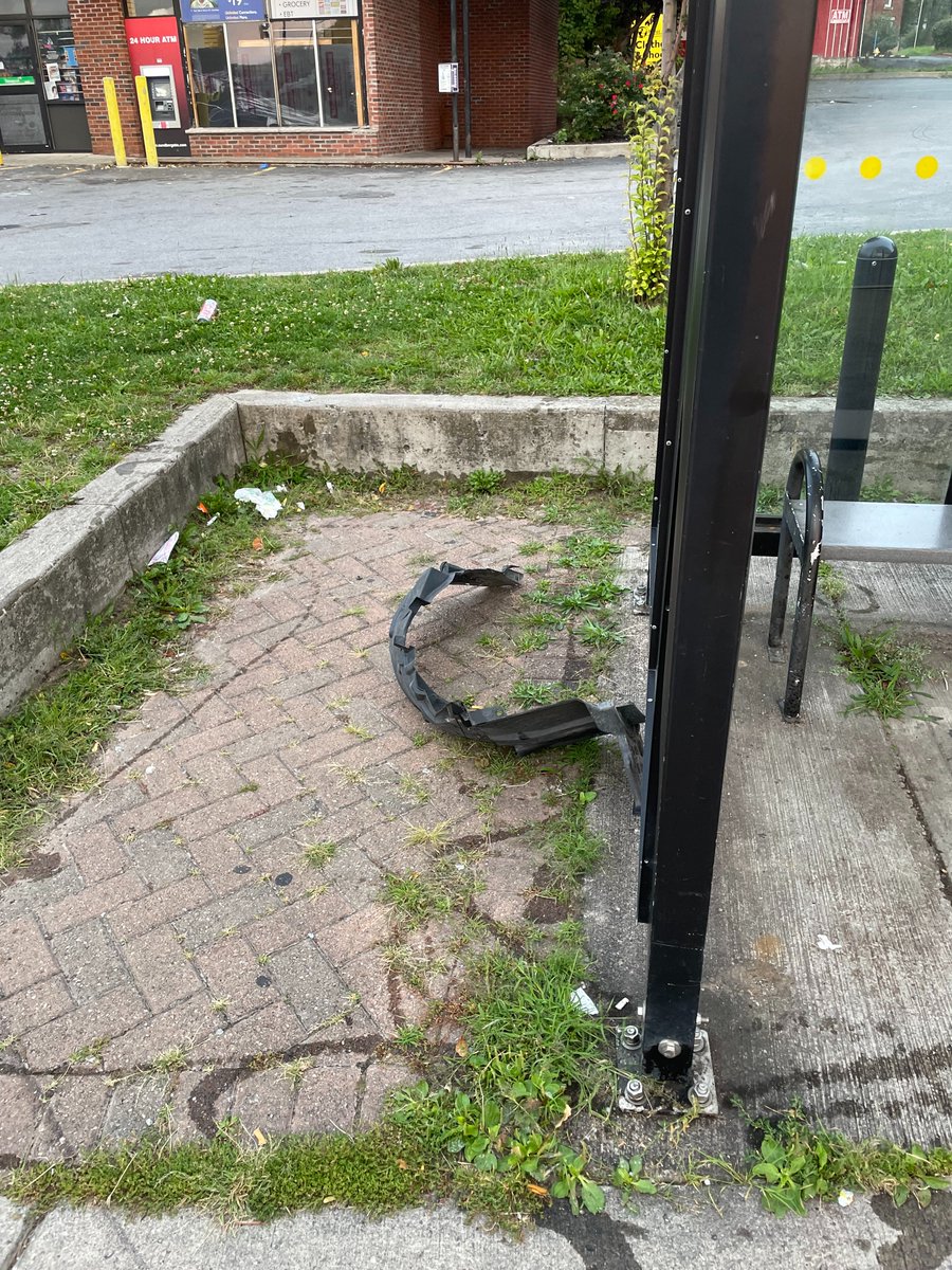 April Foreman tweet media