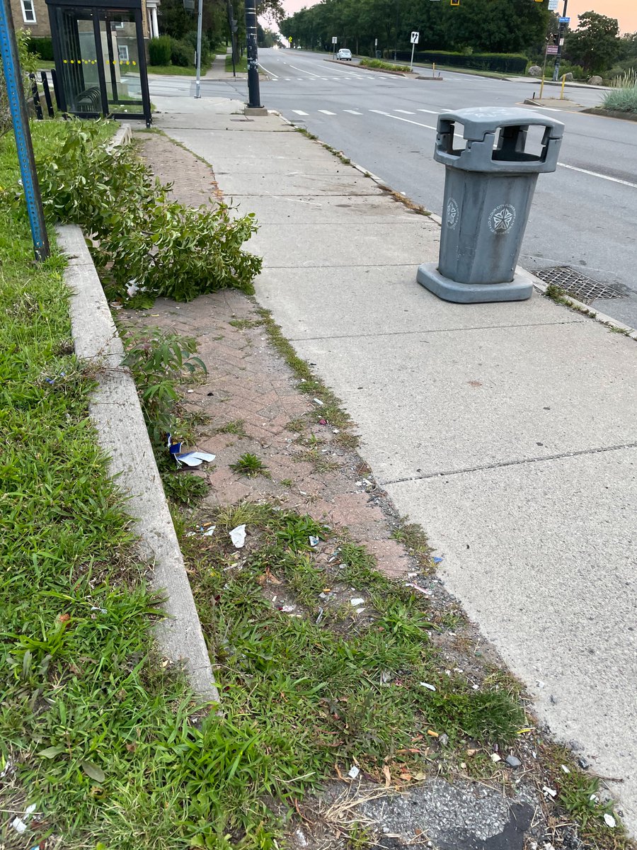 April Foreman tweet media