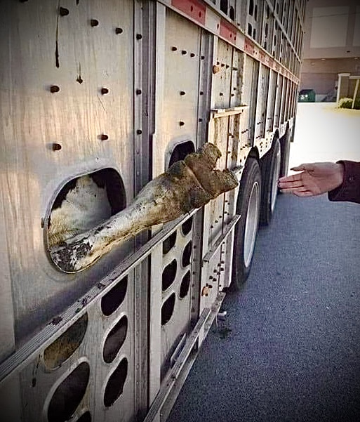 John Oberg tweet media