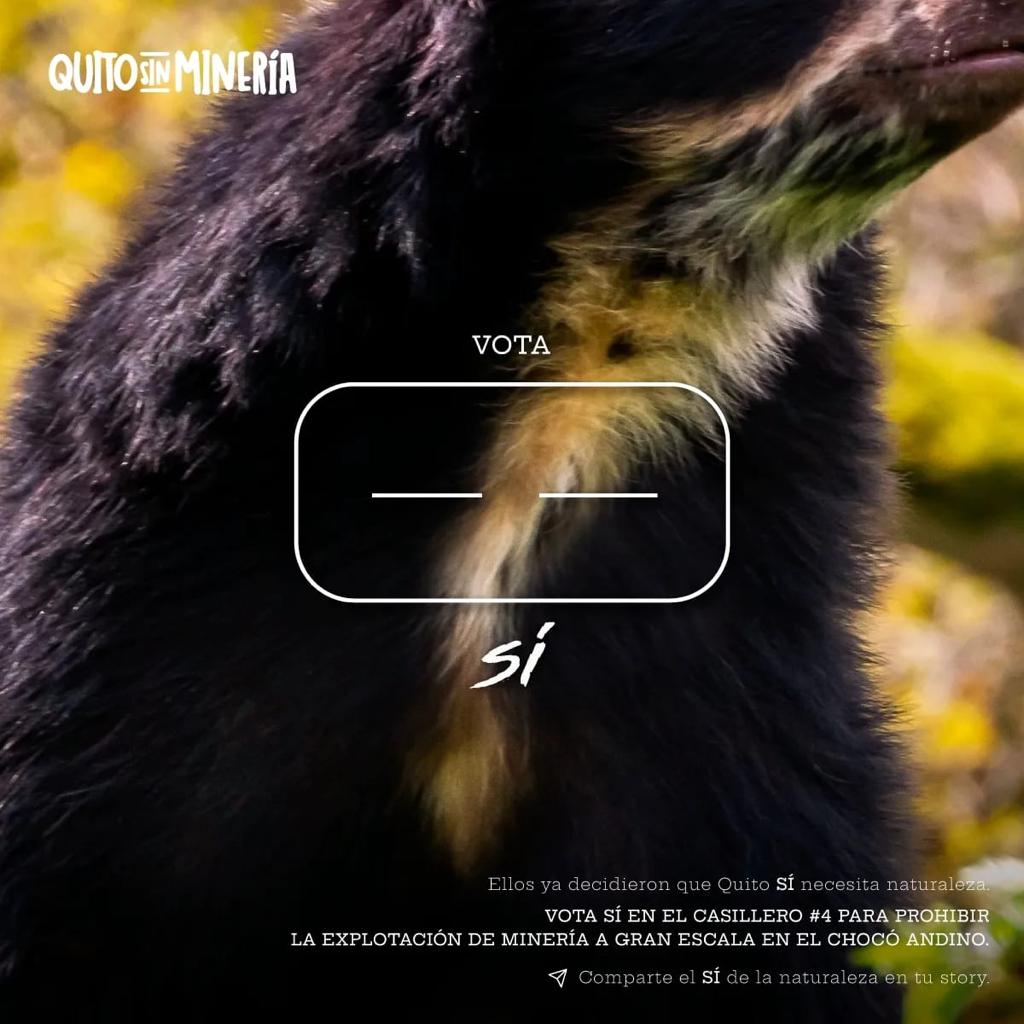 elpezcuezo's tweet photo. @QuitoSinMineria  #QuitoSinMineria #SiAlChocoAndino #4VecesSi 

#EleccionesEcuador2023 https://t.co/b37MtdwupL