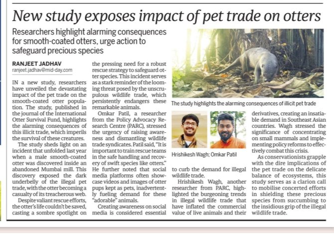 Mumbai: New study exposes impact of pet trade on otters. mid-day.com/amp/mumbai/mum… @mid_day