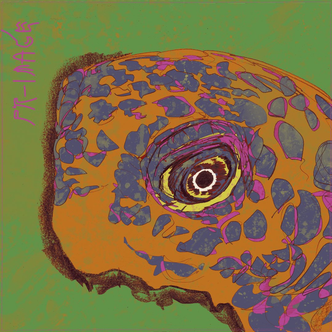 #tezos #objkt #objktnft #sketch #drawing #comic #pencil #watercolor #art #illustration

■ objkt

■ Daily Sketch
■ Turtle Face
■ 1/1 eds ■ 4.50 xtz

☟link below☟