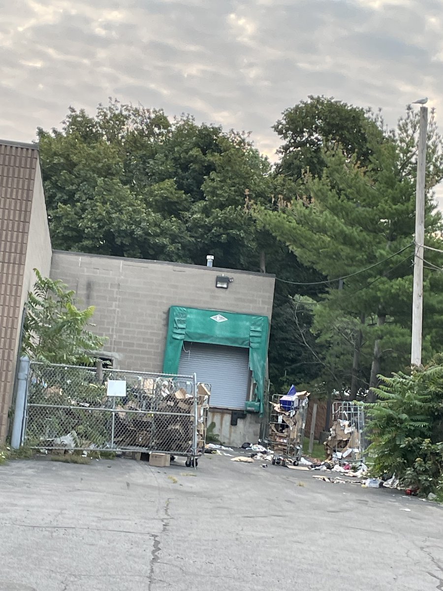 April Foreman tweet media