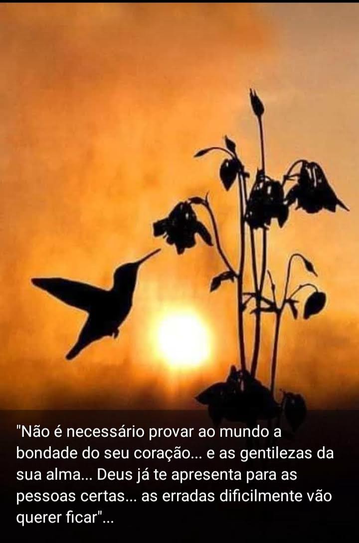 LucimarAssumpo1's tweet photo. QUEM SOMOS é o REFLEXO da forma que AGIMOS no presente momento através dos pensamentos, palavras e ações. TUDO TEM CONSCIÊNCIA 
- CONSEQUÊNCIA - VIDA. ↪️ O RETORNO↩️ chega nesta, ou em outra vida. Eleve a sua CONSCIÊNCIA no 💓🙏🏻. https://t.co/O4FNlFVKQX