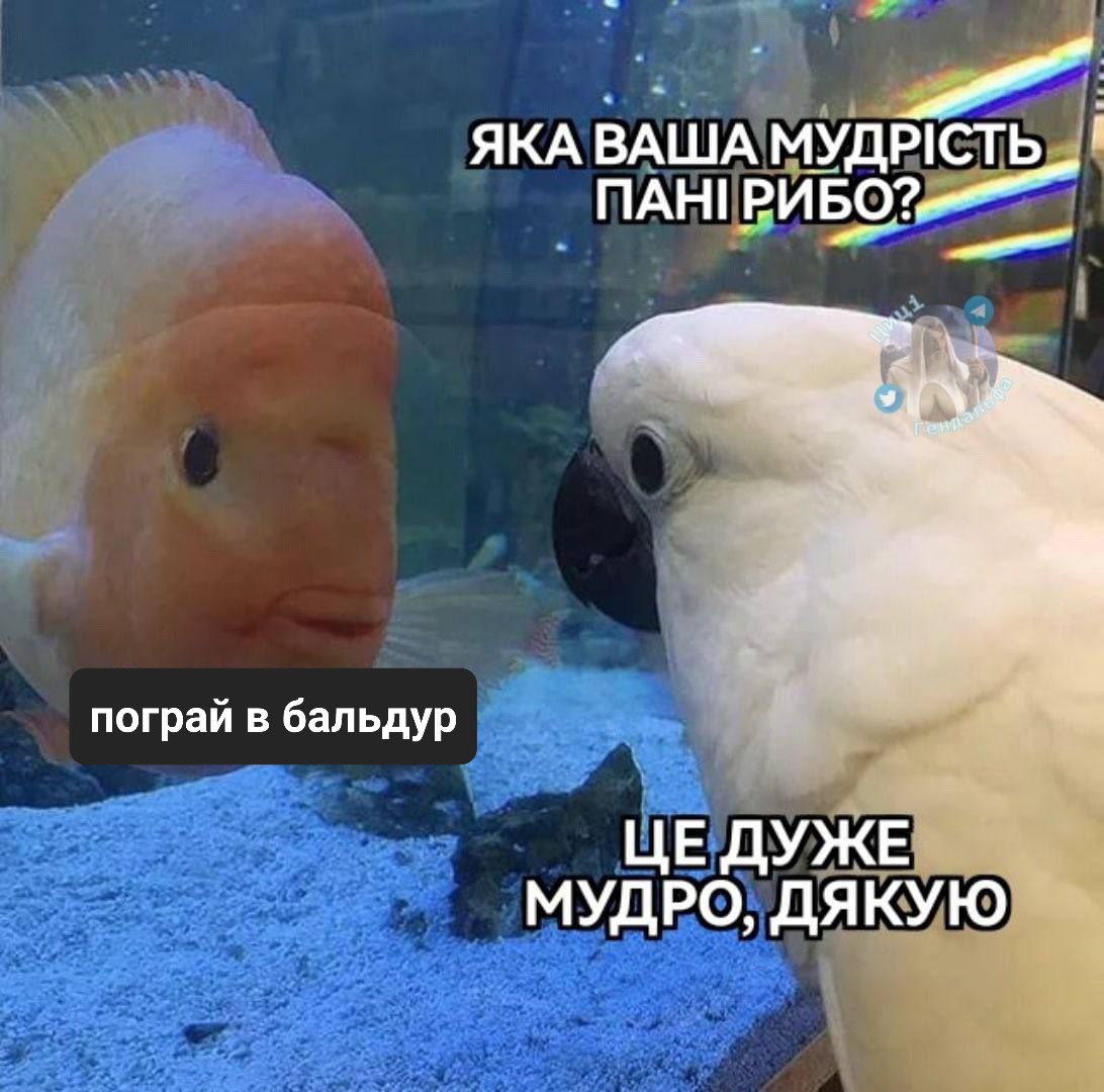літепла 💙💛 (@litepla_nastya) on Twitter photo 