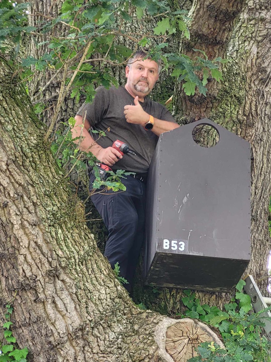 Richard lloyd Evans tweet media