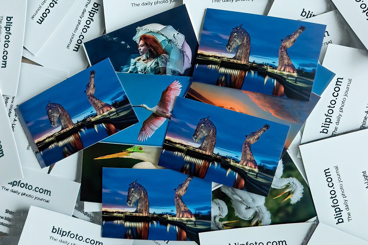 Blipfoto tweet media