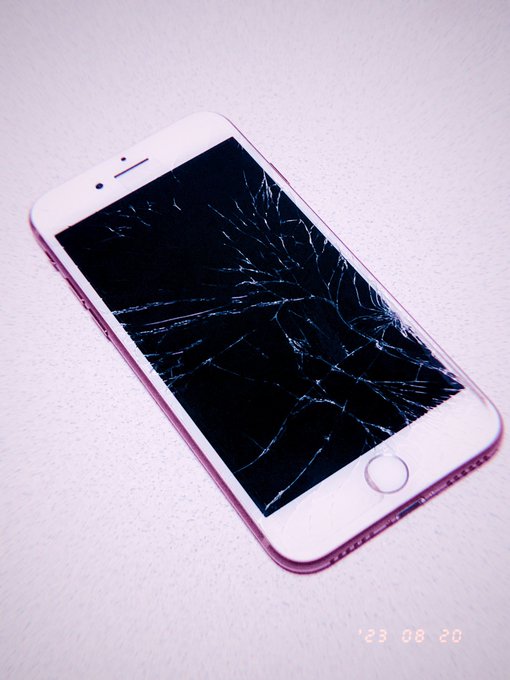 6年間おつかれさん 