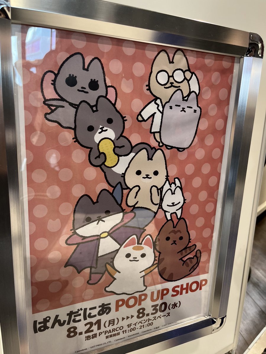 明日から開催のぱんだにあPOP UP SHOPに少しお邪魔しました。可愛く置いてくださっていて嬉しかったです。
緊張でサインはヘロヘロになりました…🐱 