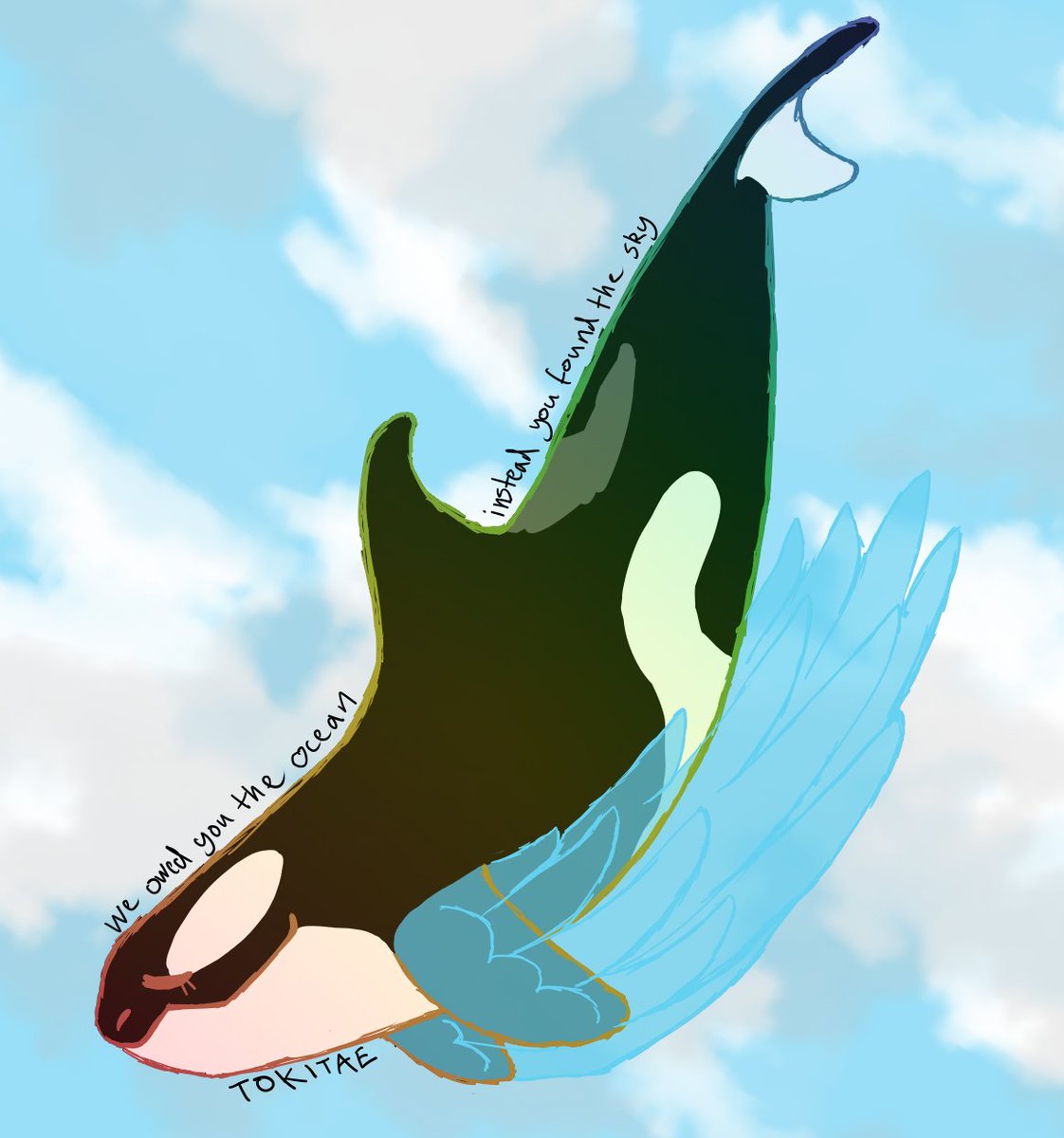 xaeranz's tweet photo. rest easy tokitae. enjoy your freedom. we were on your side.
#tokitae #riptokitae #lolitaorca #emptythetanks https://t.co/ouisWiM8qJ