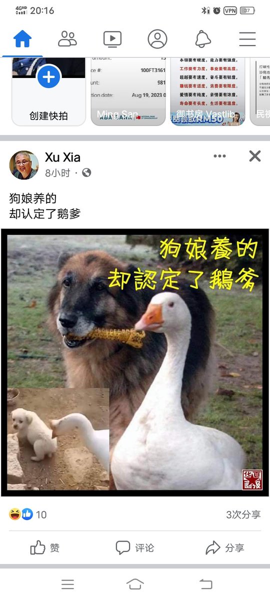 俄爹虐我千百遍我待俄爹如初恋！爹怎么坏他也是爹所以作为儿子也只能怂恿爹原谅爹！俄爹脾气不好杀了儿子原海参葳好多韭菜那也要原谅！谁叫他是爹哪！