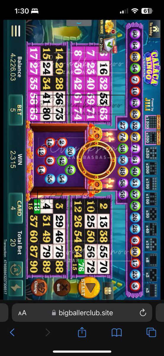 zari ✨ tweet media