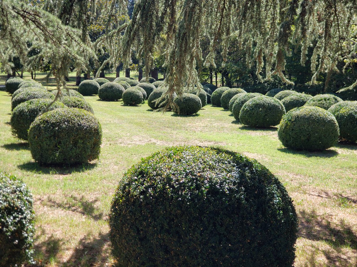After consulting with hotel and city tourist office, took a train to Saint Foy la Grande then a taxi to le Jardin du Chateau Pierrail for private box plantings.
