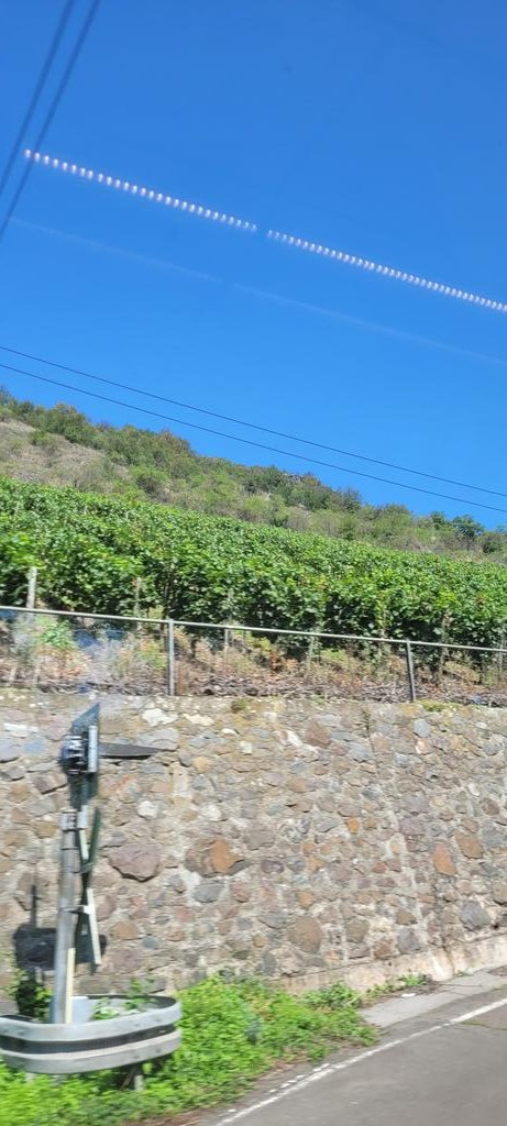 ATOMAR_'s tweet photo. Schöne Weinhänge hier drüben. Wesentlich bergiger als in Nordhessen.

Erinnert stellenweise mich an die Mosel. https://t.co/kWvjoz0YBA