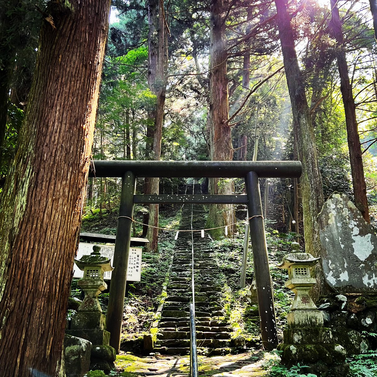 azzamac17's tweet photo. Stairway to a shrine…

#Uenohara #Yamanashi #Japan https://t.co/pXsbpRghGD