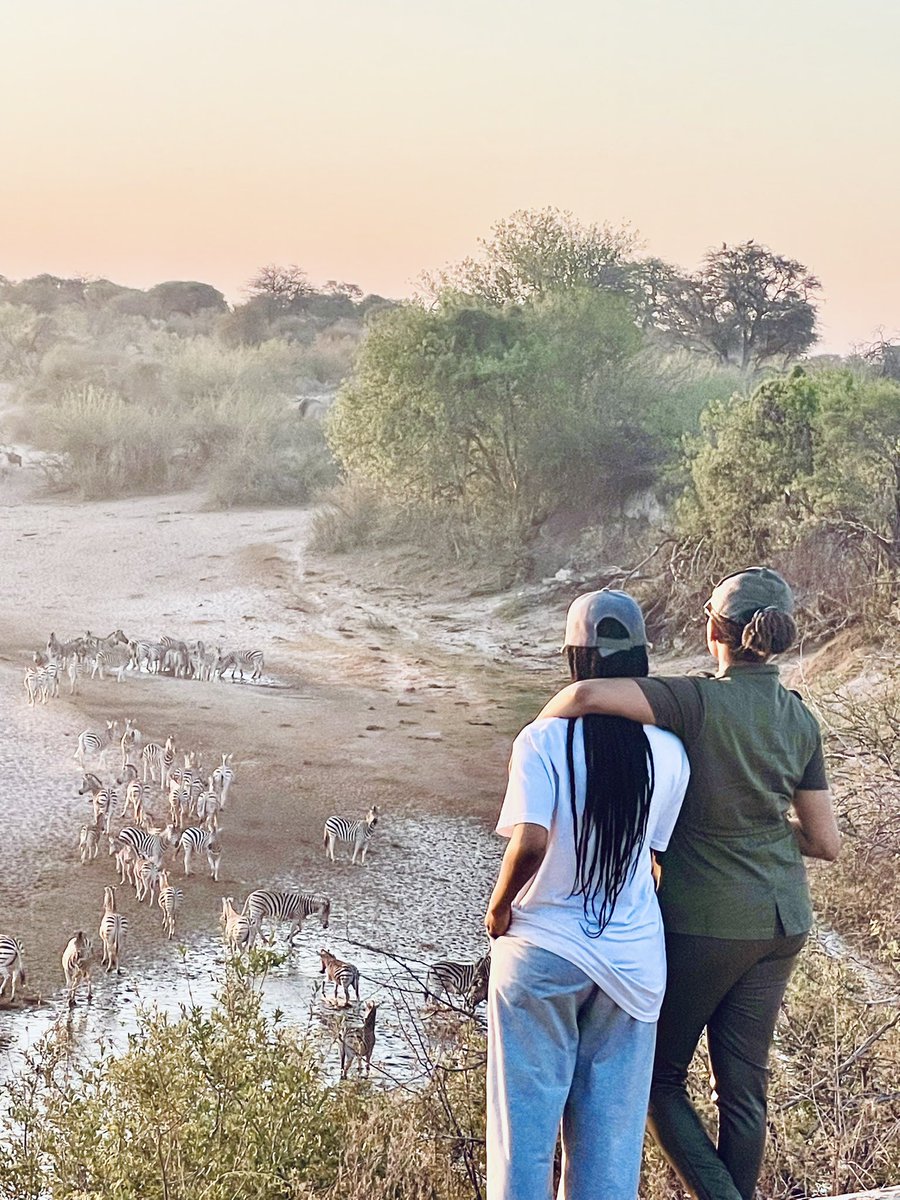 BogoloKenewendo's tweet photo. The marvellous Zebra Migration in #BotetiRiver #LeroolaTau  🥂 
F3 🎥
#Winterwonderland #Botswana #BJK https://t.co/9eSLnjCXhE