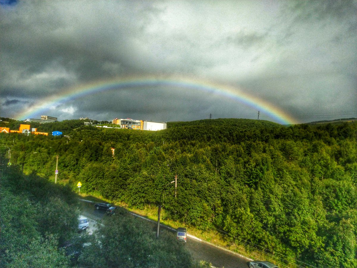 PantinDima's tweet photo. Грибы замариновал, холодильник разморозил, радугу увидел 🌈 осталось вечером дождаться победы Спартака! https://t.co/qwnGhpmTPk