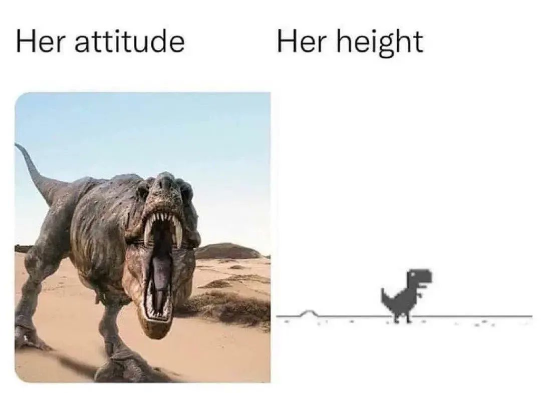 Bro Confessions tweet media