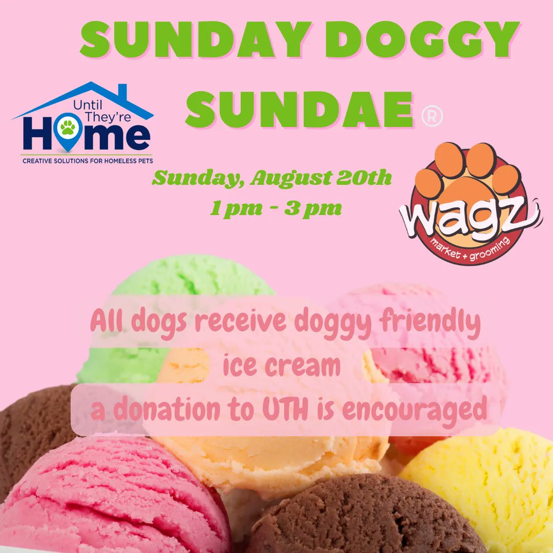 UntilHomeCo's tweet photo. Sunday Doggy Sundae!! Come get your furry friend some doggy friendly ice cream &amp; check out their possible new floofball brother or sister. We will be there from 1 pm to 3pm w 2 adorable adoptables!! https://t.co/oJz5uarLM3