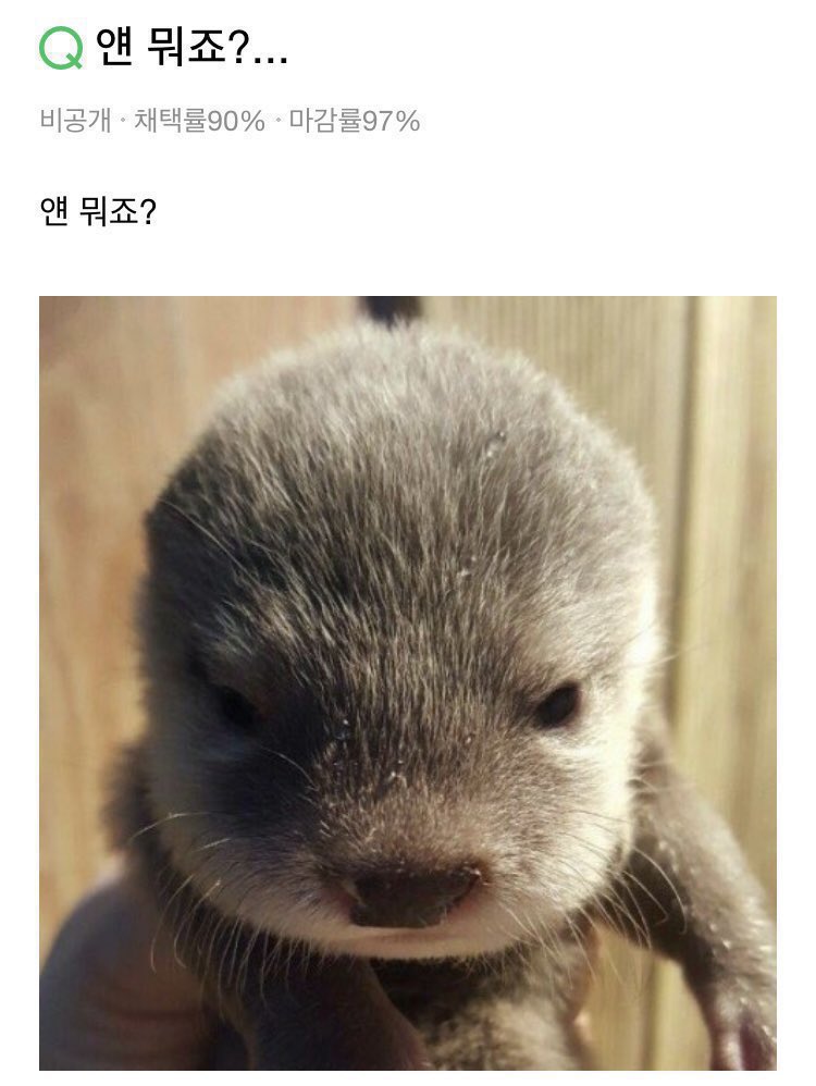 sushimx1122's tweet photo. 낼 기현 미리보기 https://t.co/04lb1TS7TZ