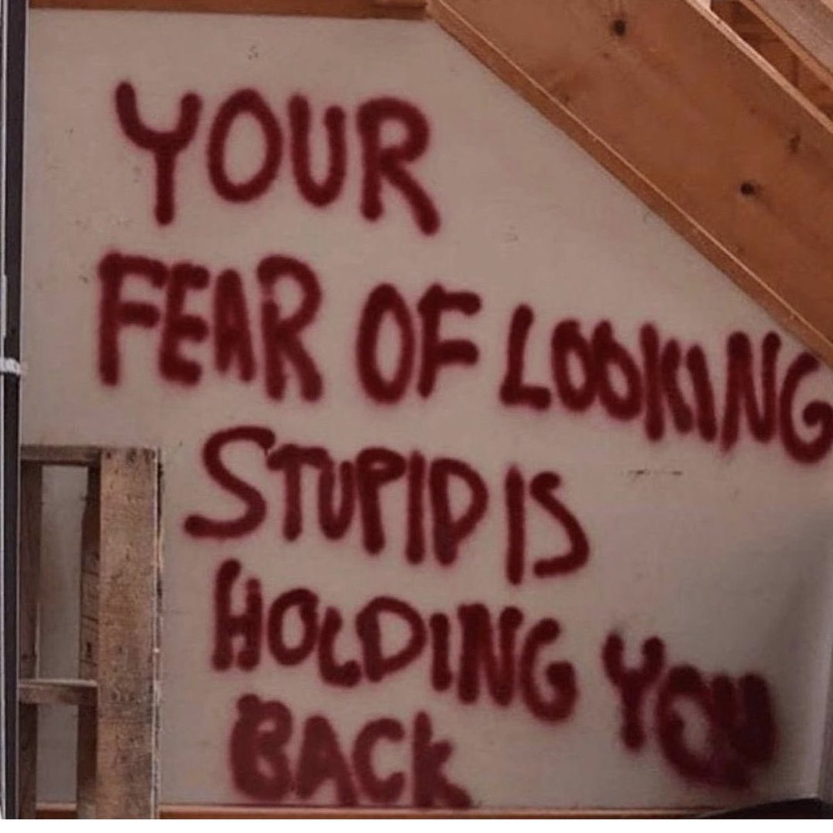 Michael Arrington 🏴‍☠️ tweet media